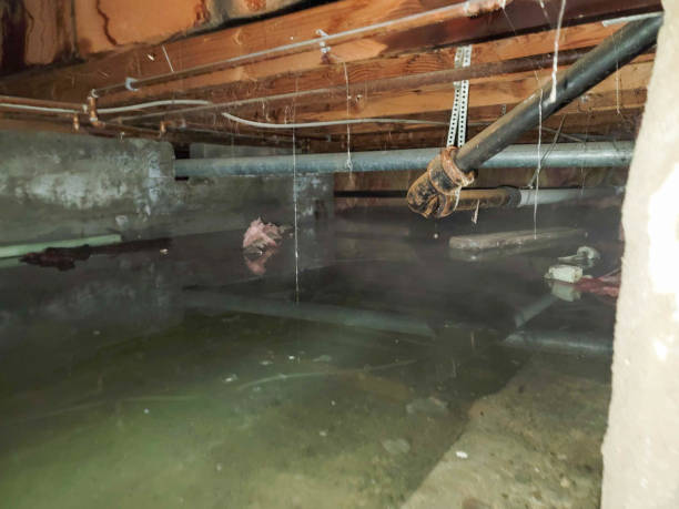 Best Emergency water damage restoration  in Ennis, TX