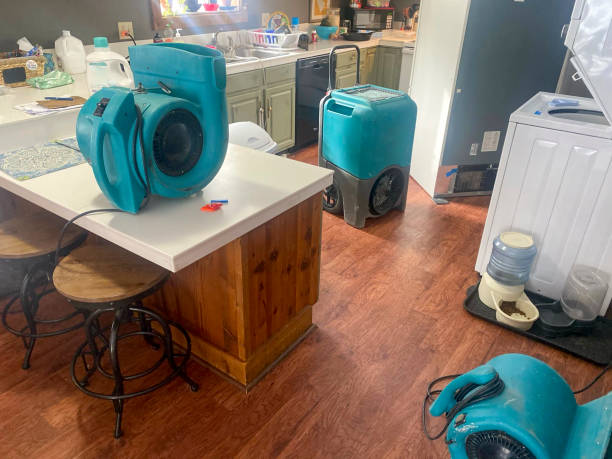 Best Carpet water damage restoration  in Ennis, TX