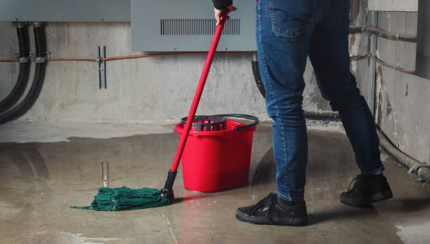 Best Flood restoration services  in Ennis, TX