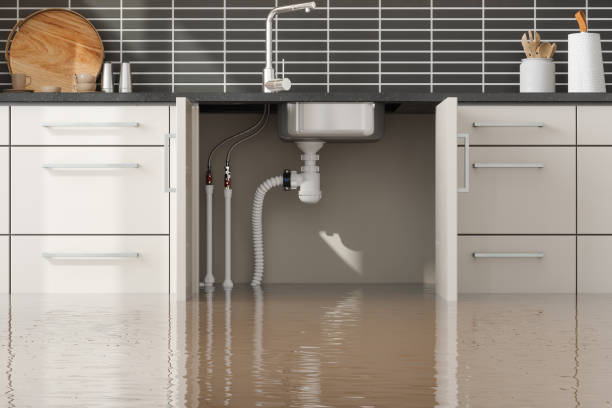 Best Professional water damage repair  in Ennis, TX