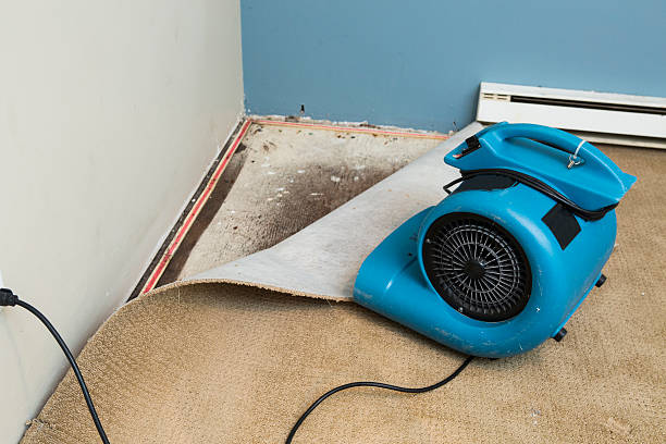 Professional Water damage restoration in Ennis, TX
